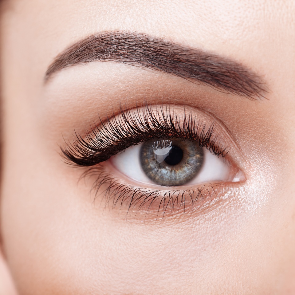 Female Eye with Extreme Long False Eyelashes. Eyelash Extensions. Makeup, Cosmetics, Beauty. Close up, Macro
