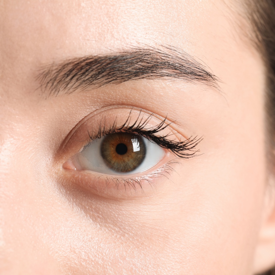 Macro photo of woman with beautiful eyes